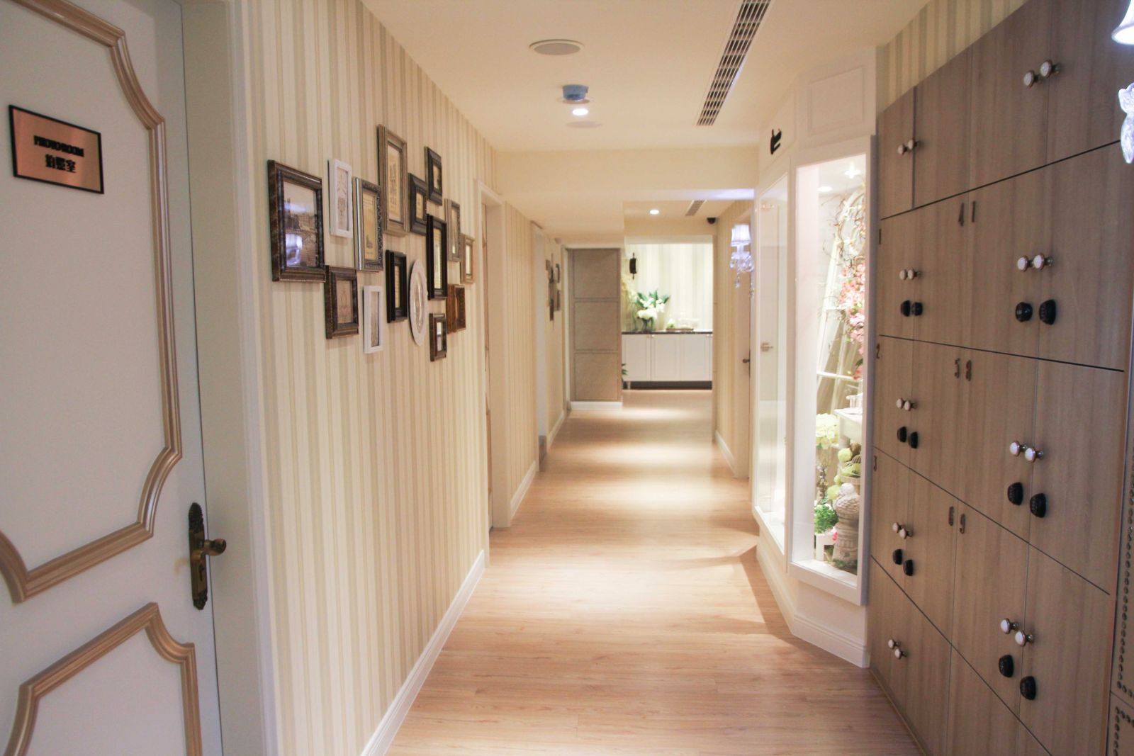 ̨���ǲ�ҽ����������(��ͤ)