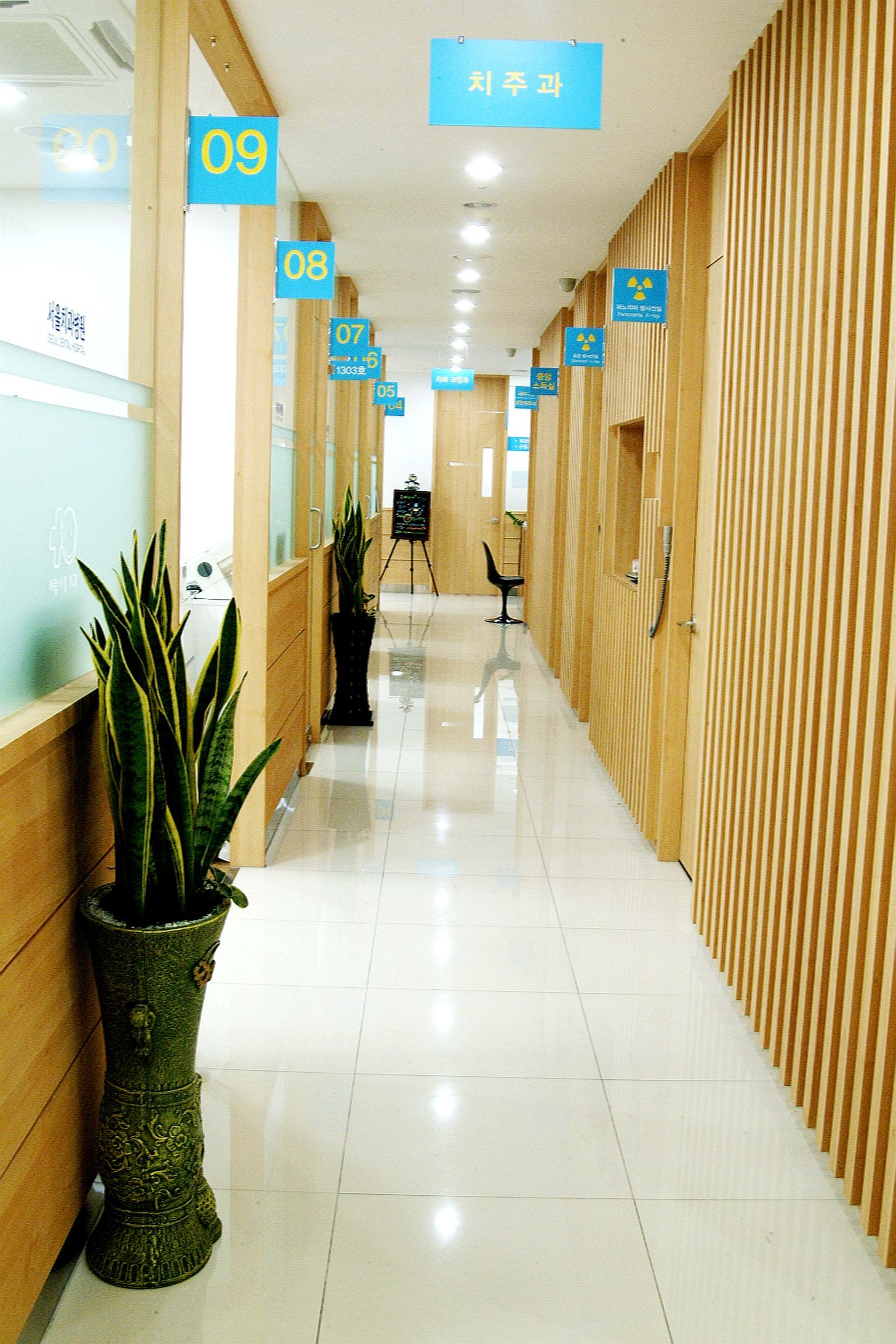 �����˰�����