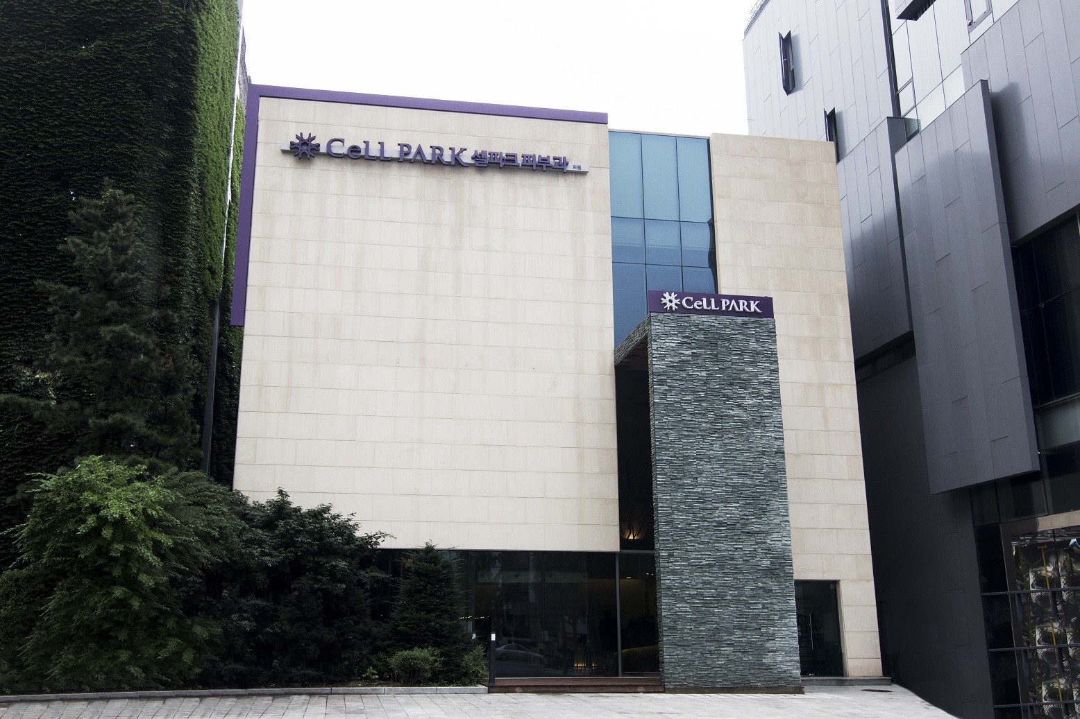 ʱ��Ƥ��ҽѧ��������