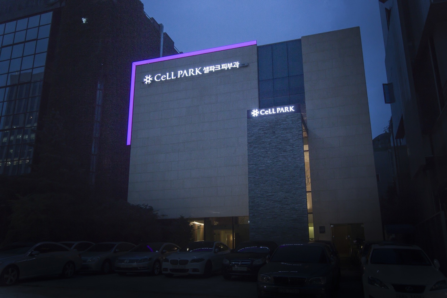 ʱ��Ƥ��ҽѧ��������