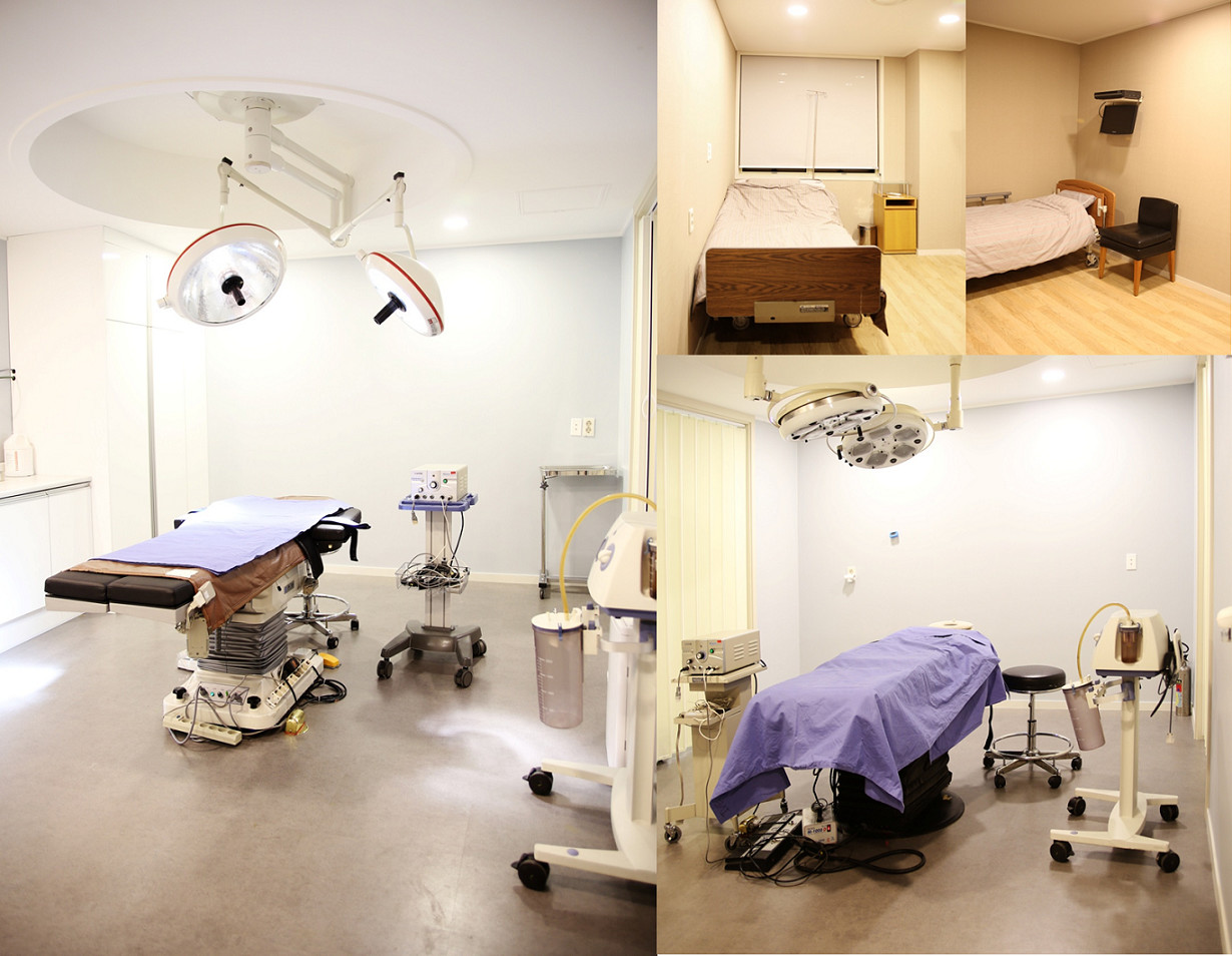 IVE������������