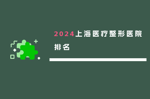2024上海医疗整形医院排名