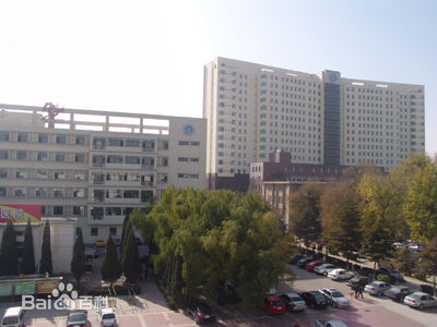 内蒙古包钢医院整形外科
