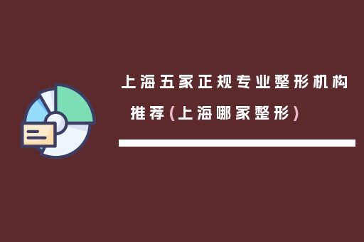 上海五家正规专业整形机构推荐(上海哪家整形)
