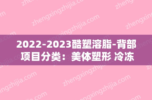 2024酷塑溶脂-背部 项目分类：美体塑形 冷冻溶脂