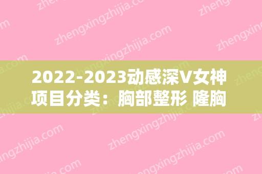 2024动感深V女神 项目分类：胸部整形 隆胸 假体隆胸